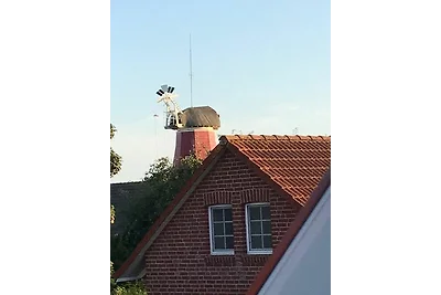 Mühlenblick