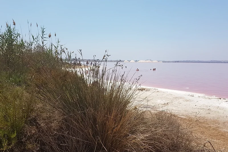 hier am Salzsee können Sie herrliche Spaziergänge erleben!