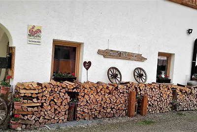 XXL Appartement Moarhof
