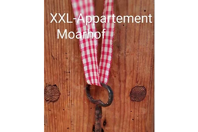 XXL Appartement Moarhof