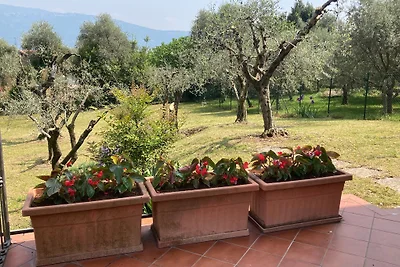 Villa Pellacani