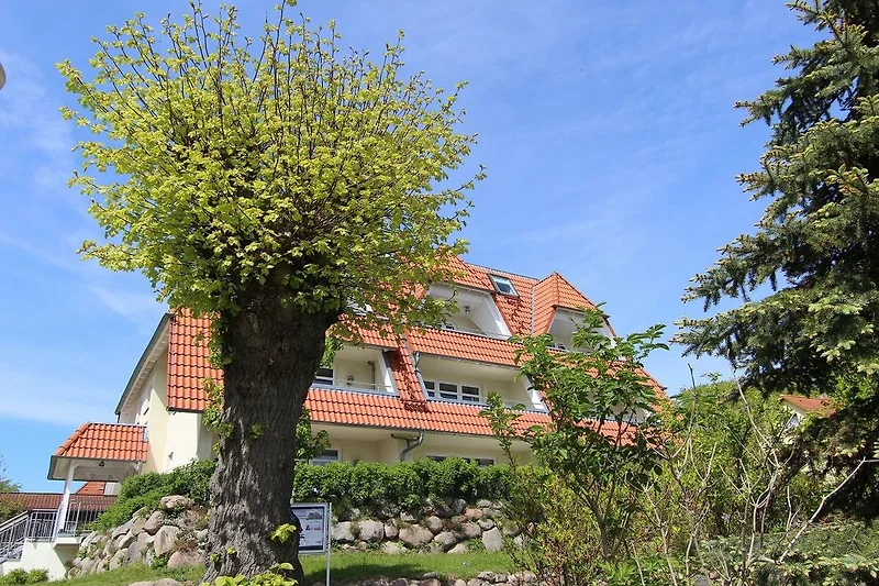 Hauptansicht