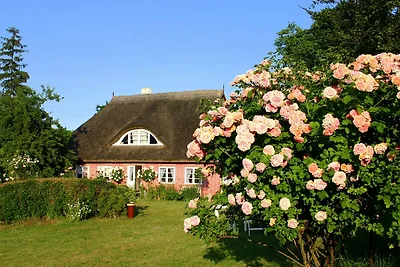 Im Feriengarten - Ferienwohnung EG