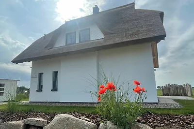 Vakantiehuis Ontspannende vakantie Dranske