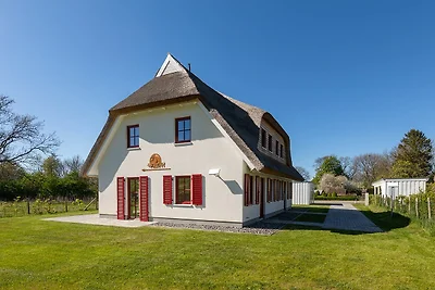 Ranzow - Designhaus Freyh II