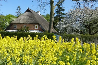 Im Feriengarten -Ferienwohnung im DG