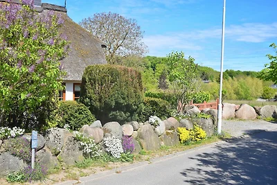 Ferienhaus Uhlenbusch Fewo 2