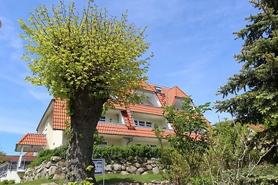 Hafenhäuser Breege - Ferienwohnung 18...