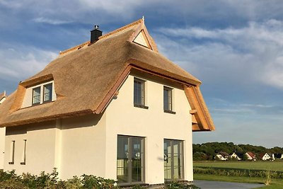 Ferienhaus "Distelfink" in Dranske / Lancken