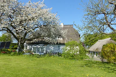 Im Feriengarten -Ferienwohnung im DG