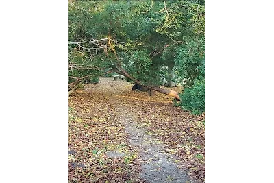 Ferienwohnung Am Schwanenteich