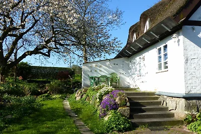 Im Feriengarten -Ferienwohnung im DG