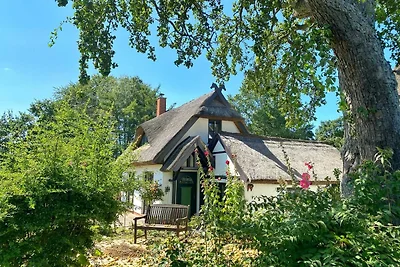 Casa vacanze Vacanza di relax Putbus