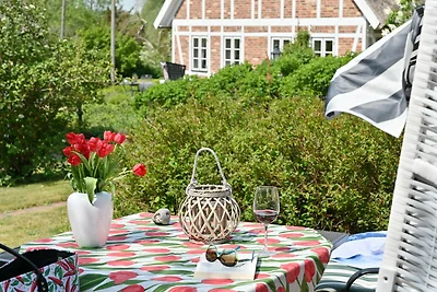 Landhaus Vilmnitz - Wohnung 2