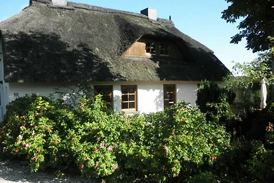 Ferienhaus Uhlenbusch Fewo 2