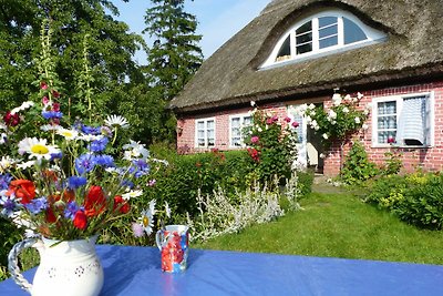 Im Feriengarten - Ferienwohnung EG