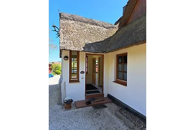 Ferienhaus Uhlenbusch Fewo 1