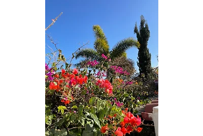 Buena Vida