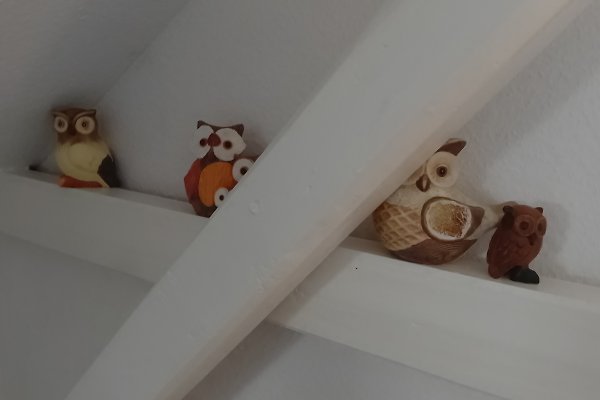 Ferienwohnung Krummhörn