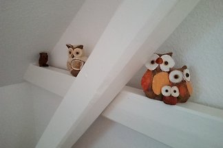 Bellissimo appartamento per vacanze