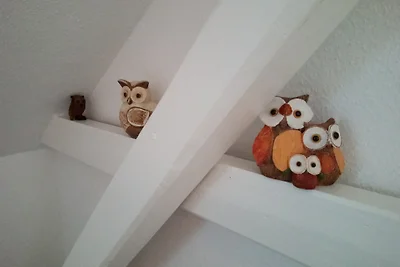 Nido di gufi