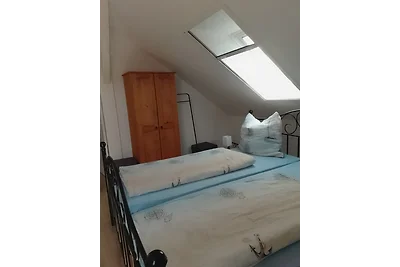 gnijezdo sova
