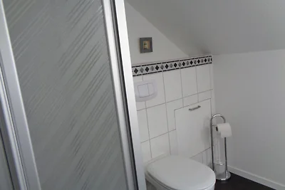 gnijezdo sova