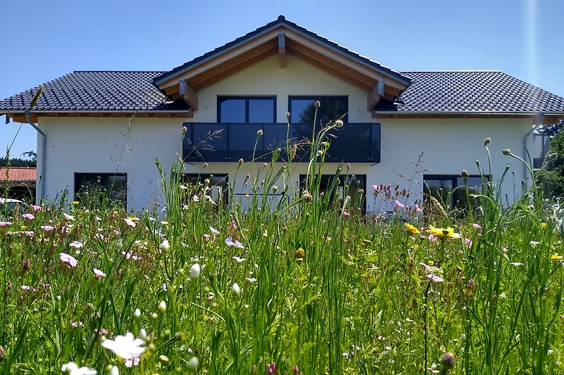 Großzügiges Haus mit Garten, viel Platz und schöner Aussicht ins Grüne.