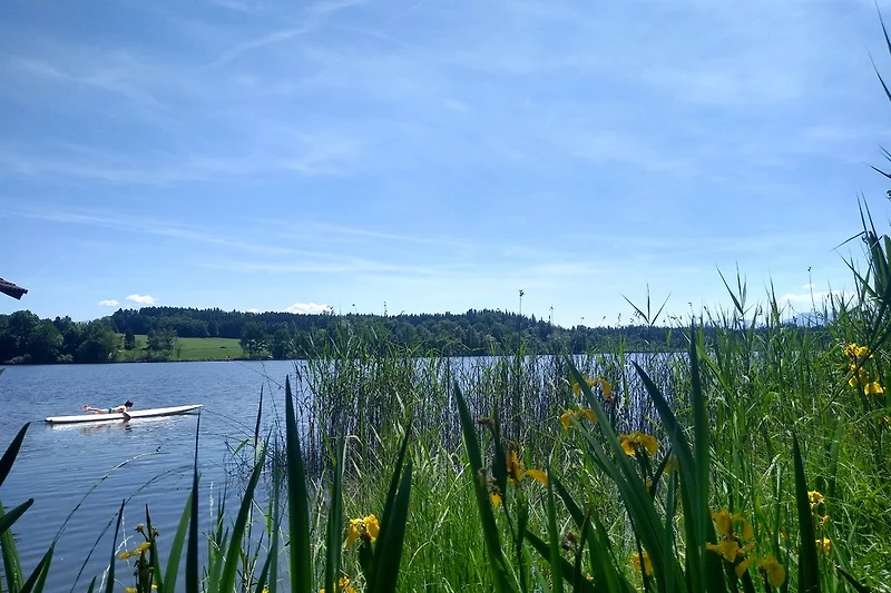 Badesee ums eck