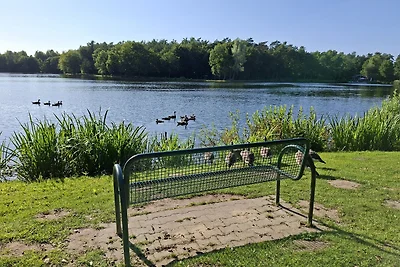 Nurdach-Haus am Saller See, Emsland