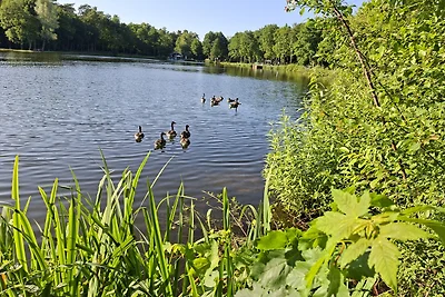 Nurdach-Haus am Saller See, Emsland