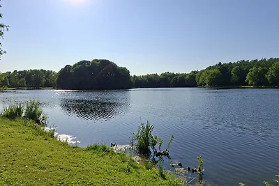 Nurdach-Haus am Saller See, Emsland