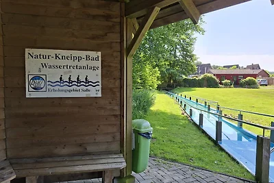 Nurdach-Haus am Saller See, Emsland