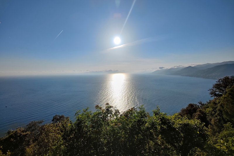 Blick vom Monte Portofino Richtung Seealpen