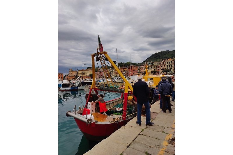 Santa Margherita - Fischerboot im Hafen