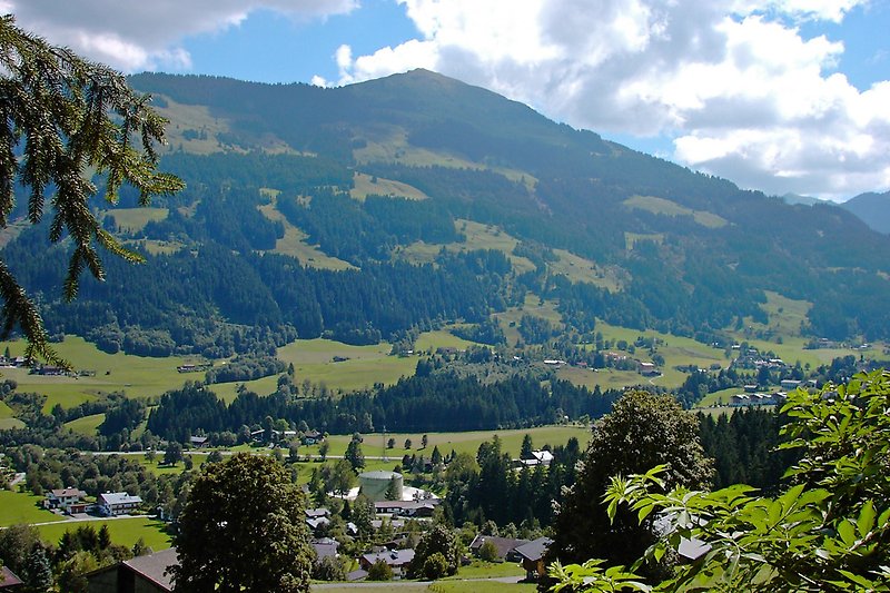 Bergiges Ferienhaus umgeben von grüner Natur und majestätischen Bergen.