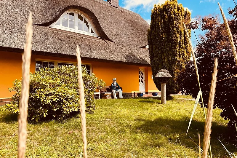 Hauptansicht