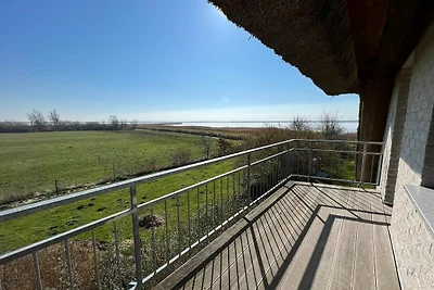 Haus am Boddenufer