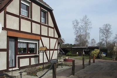 Darßer Waldwinkel