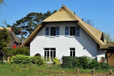 Admiral's Corner Gulet