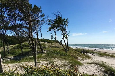 Ferienhaus Traumfänger