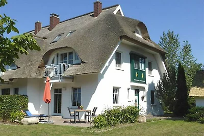 Boddenparadies - Baltija