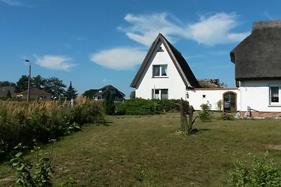 Hagebutte