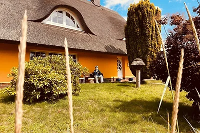 Ferienhaus Brise - Skipper's Kabine
