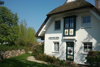 Boddenparadies - Imme