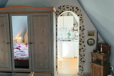 Lachmöwe