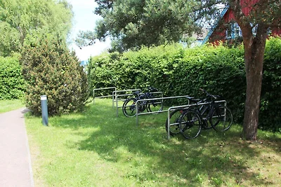 Seeschwalbe