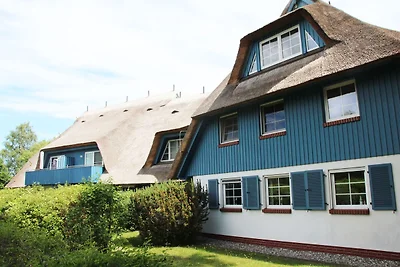 Seeschwalbe