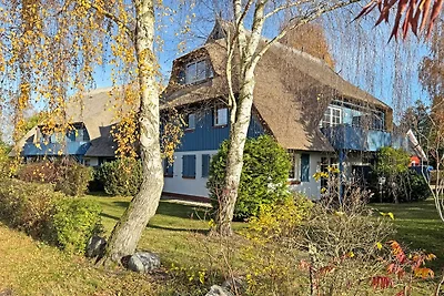 Seeschwalbe
