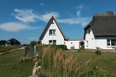 Hagebutte